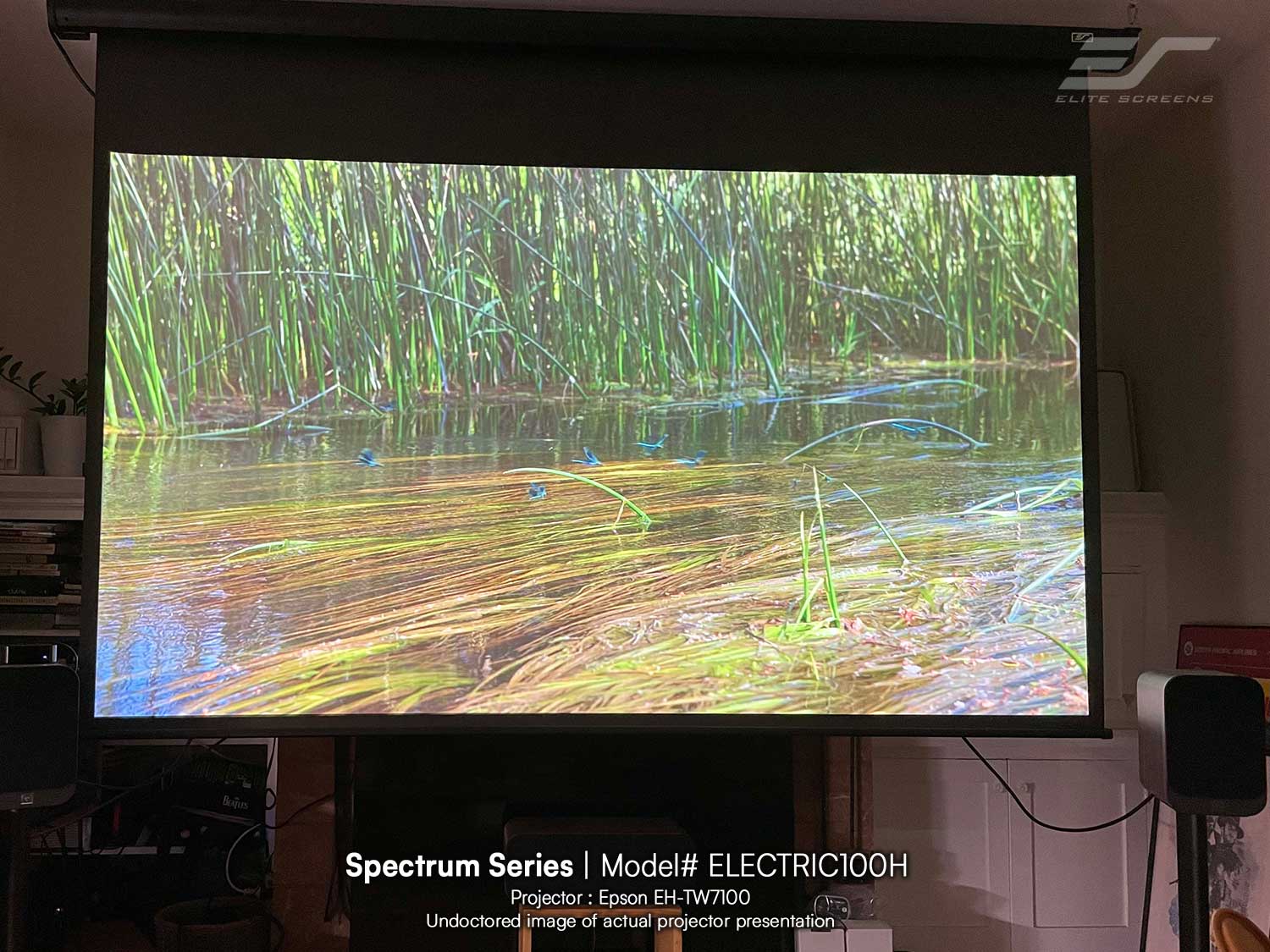 100" Spectrum Electric Motorized Projection Screen w/Epson EH-TW7100