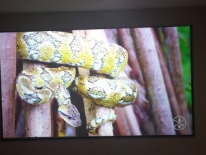 AEON Edge Free Screen CineGrey® 3D material.- Customer Video