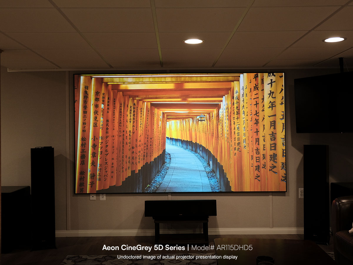 115" Aeon CineGrey 5D Ambient Light Rejecting EDGE FREE® Projection Screen | Model# AR115DHD5