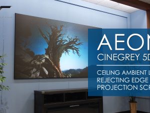 Elite Screens Aeon CineGrey 5D® Ceiling Ambient Light Rejecting EDGE FREE® Fixed Screen