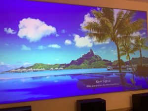 135” Ceiling & Ambient Light Rejection Screen – CineGrey 3D® with LG 4K Projector