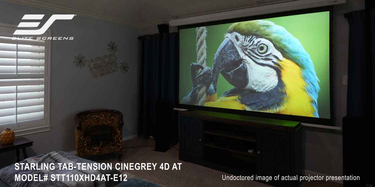 Large projector screen displaying a colorful parrot image in a home theater.