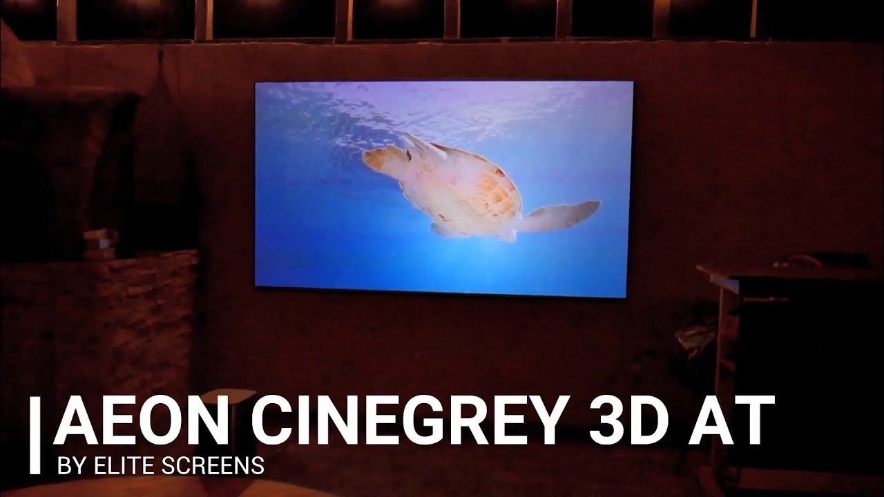 Aeon CineGrey 3D® Ambient Light Rejecting Acoustic Transparent Screen by JoelsterG4K
