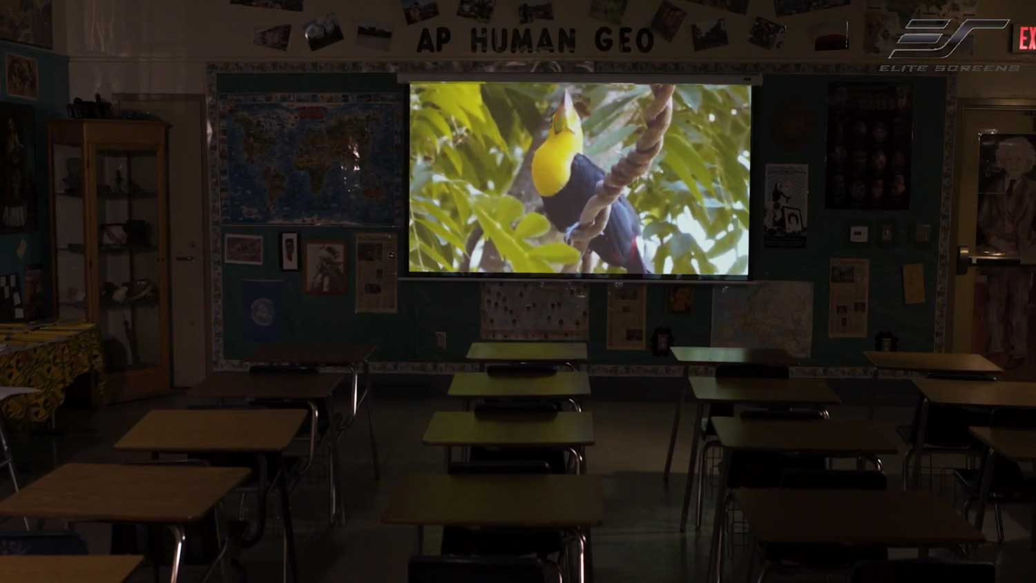 136" Manual Manually Operated Pull-Down Projection Screen at School