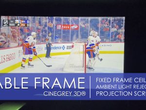 Sable Frame CineGrey 3D® Ceiling Ambient Light Rejecting Projector Screen