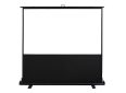 Portable projector screen for home theater and presentations.